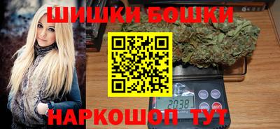 гидропоника Камышлов