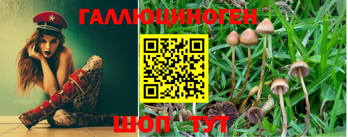 Нефтекамск  Псилоцибиновые грибы мухоморы  Вход с VPN 